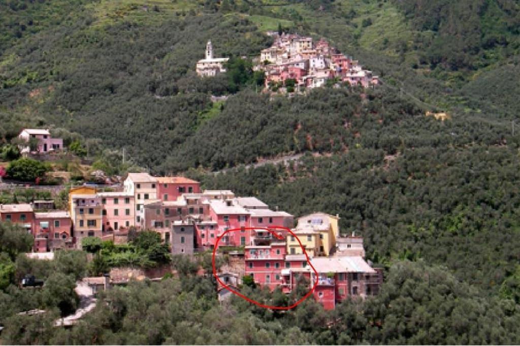 Le Case Della Lizza - Casa Rossa Levanto Exteriér fotografie